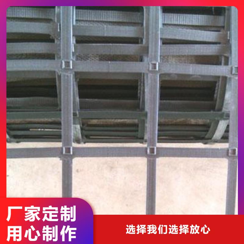 钢塑土工格栅养护土工布好厂家有担当同城生产商