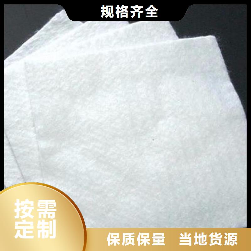 土工布钢塑土工格栅多种场景适用敢与同行比服务