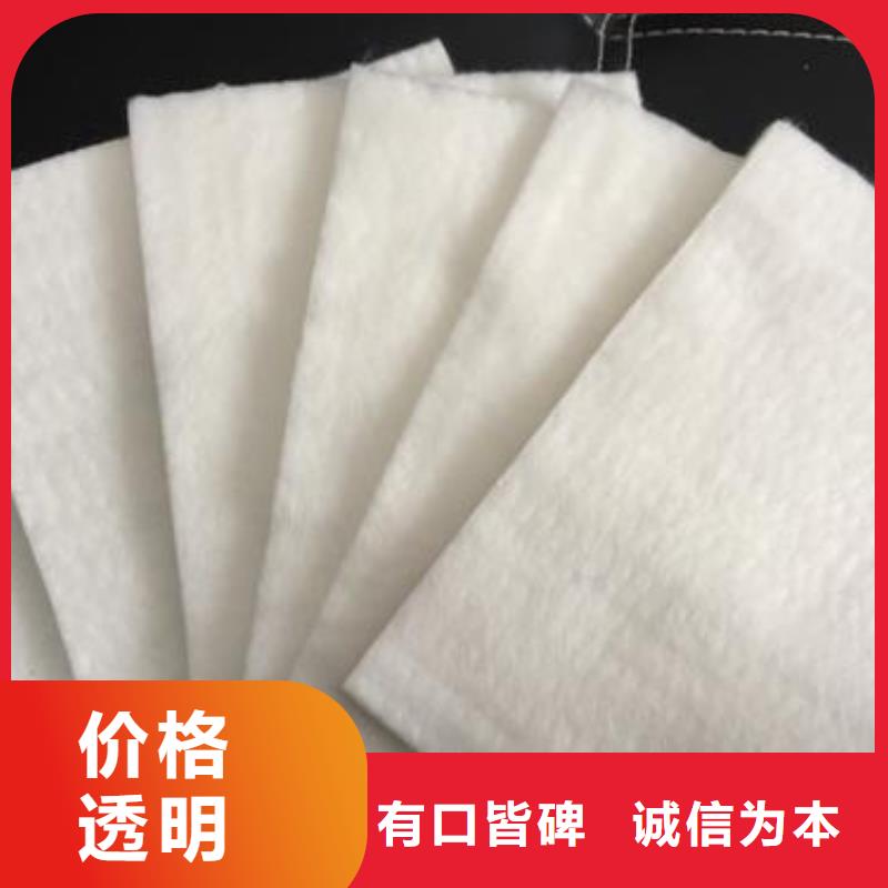 【土工布涤纶土工格栅价格有优势】用途广泛