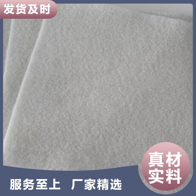 土工布-塑料土工滤网安心购市场报价