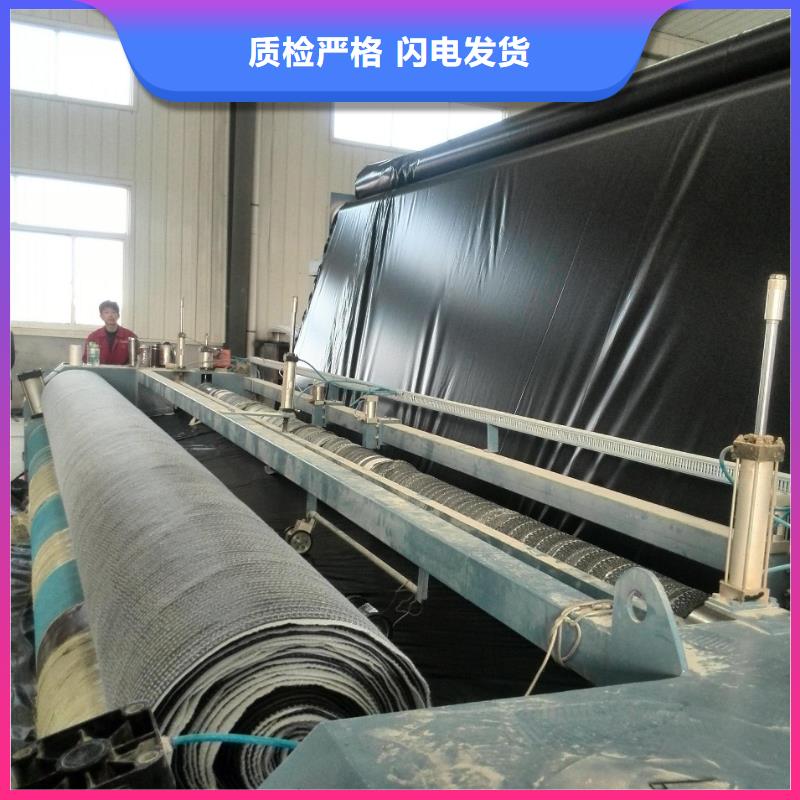【膨润土防水毯】双向土工格栅优选原材多种规格供您选择