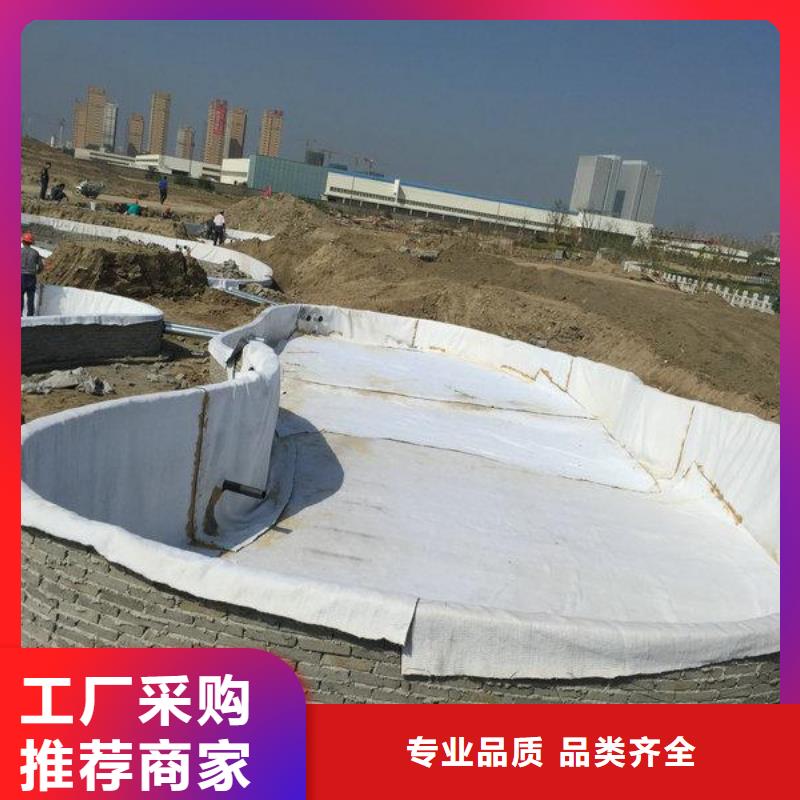 【膨润土防水毯】加筋布您想要的我们都有价格有优势