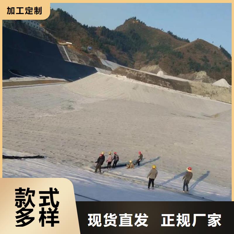 膨润土防水毯HDPE土工膜敢与同行比质量国标检测放心购买