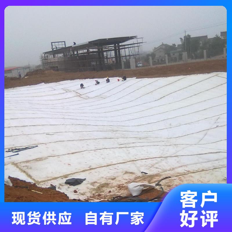 ​膨润土防水毯,塑料土工滤网贴心服务敢与同行比质量