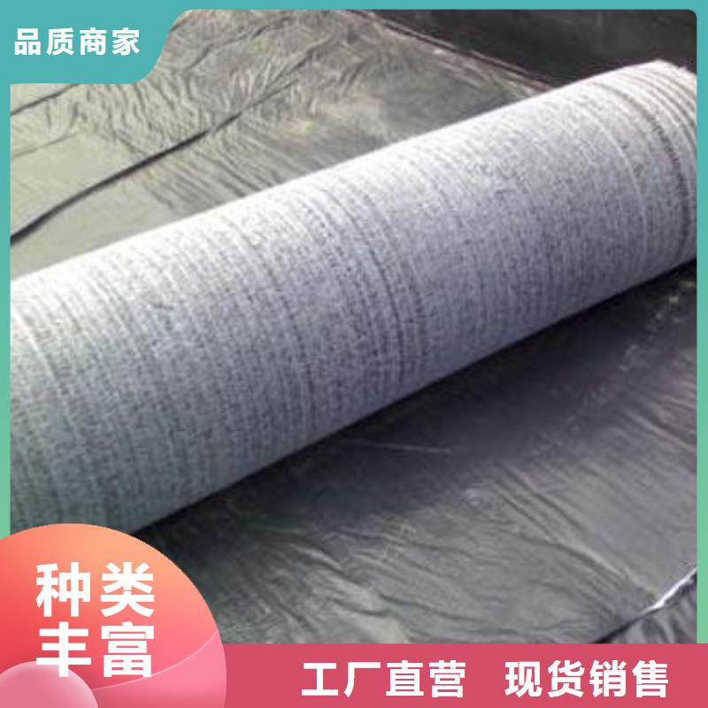 【膨润土防水毯防水土工布精挑细选好货】定制速度快工期短
