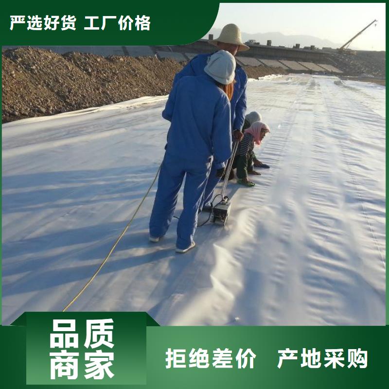 土工膜,聚乙烯土工膜品质可靠同城生产厂家