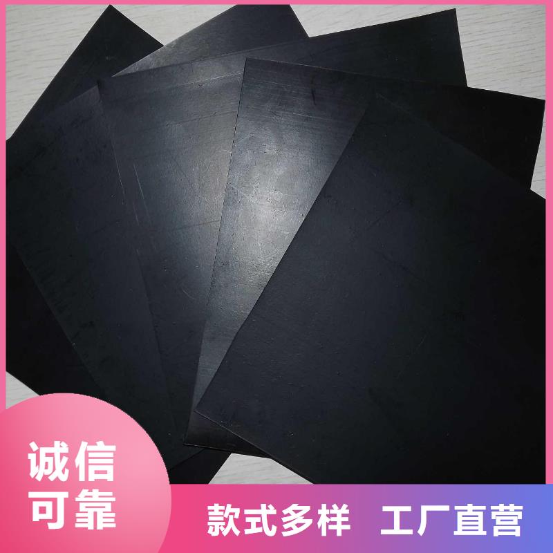 土工膜【涤纶土工格栅】厂家实力雄厚材质实在