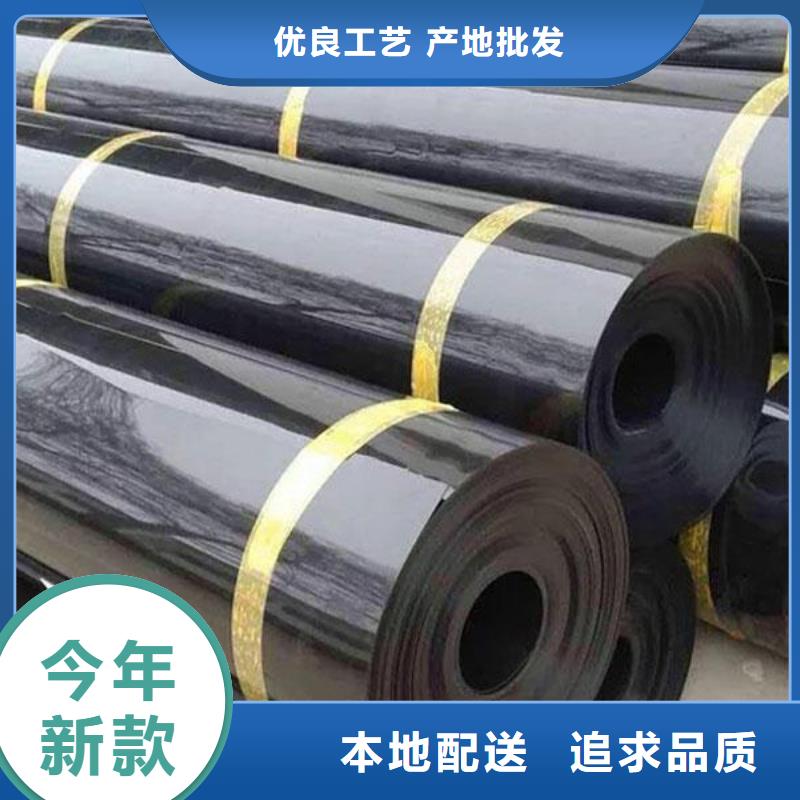 土工膜钢塑土工格栅产品参数精选货源