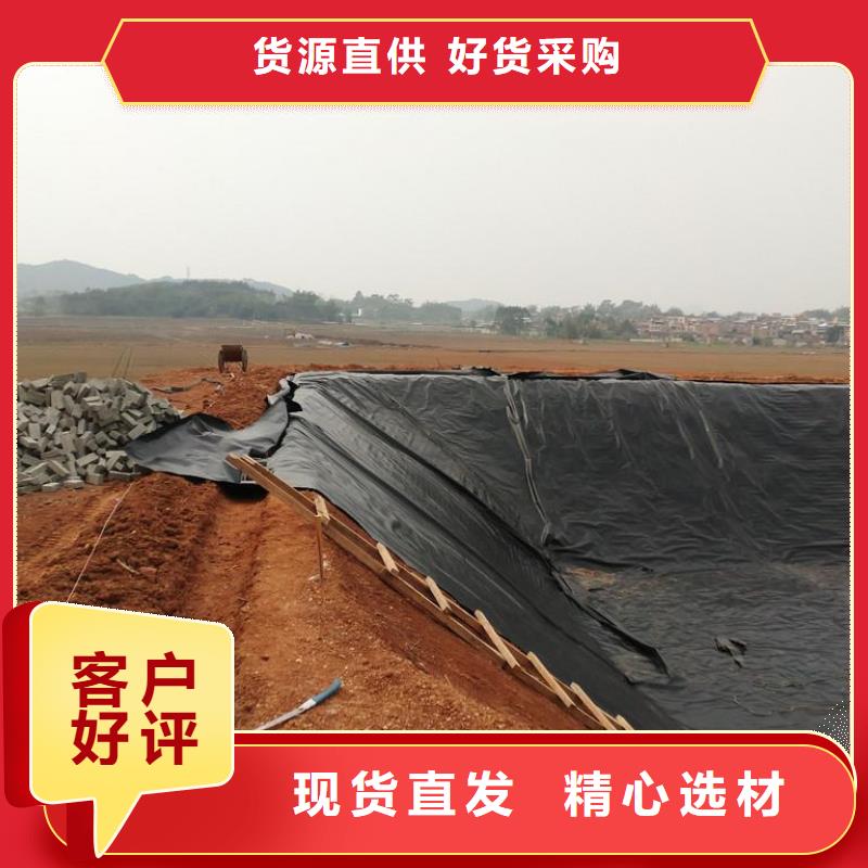 土工膜玻纤土工格栅细节决定品质一站式供应厂家