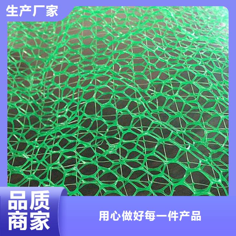 三维植被网护坡土工网专注产品质量与服务生产厂家