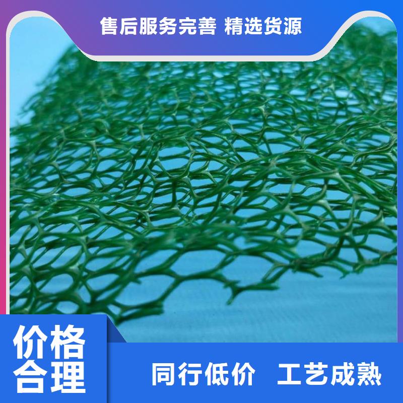 ​【三维植被网钢塑土工格栅订购】当地生产商