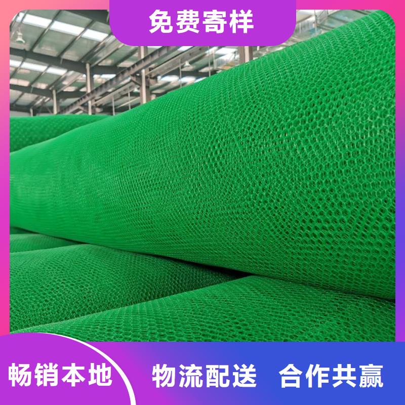 三维植被网三维土工网垫厂家规格全本地服务商