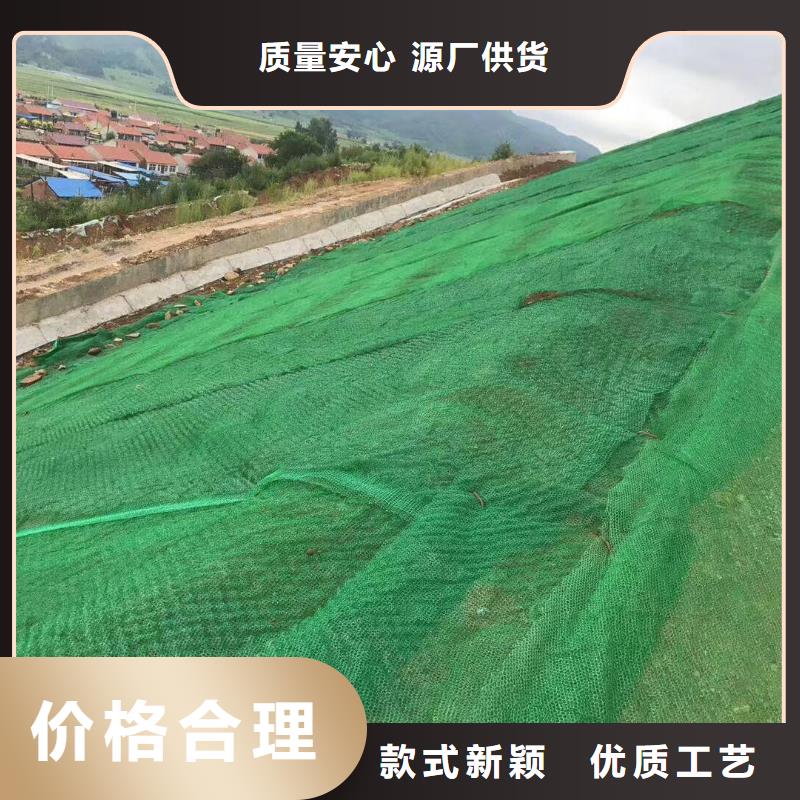 三维植被网-透水土工布专注细节使用放心同城经销商