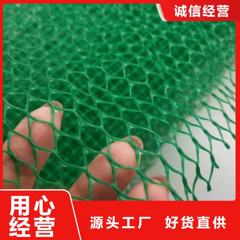 三维植被网钢塑土工格栅实力厂家优良工艺