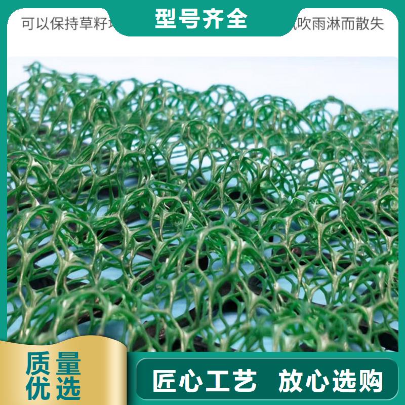 三维植被网土工布现货销售诚信可靠