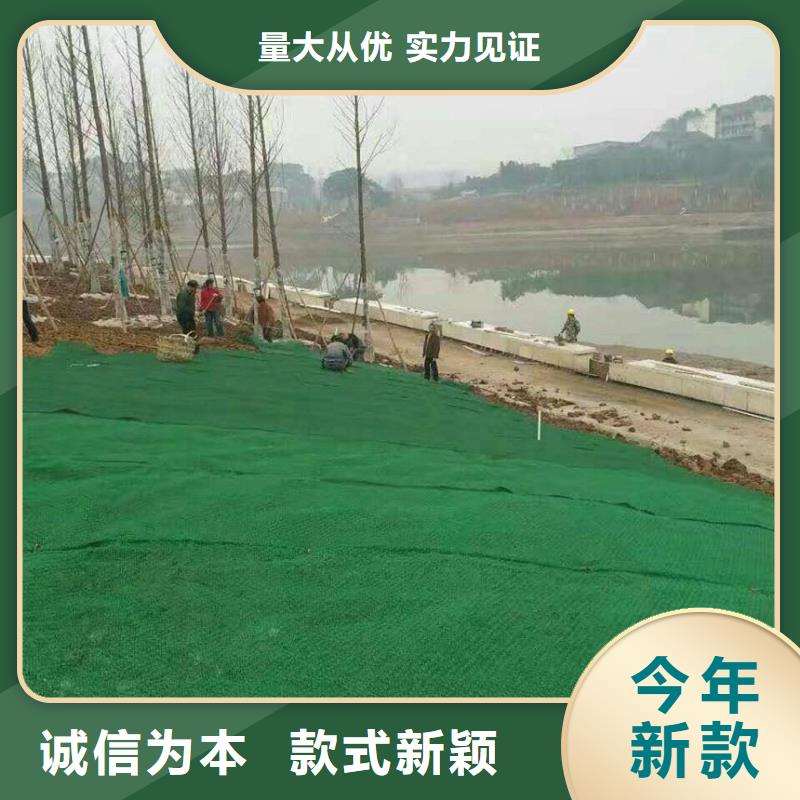 【三维植被网,双向塑料土工格栅性能稳定】快速生产