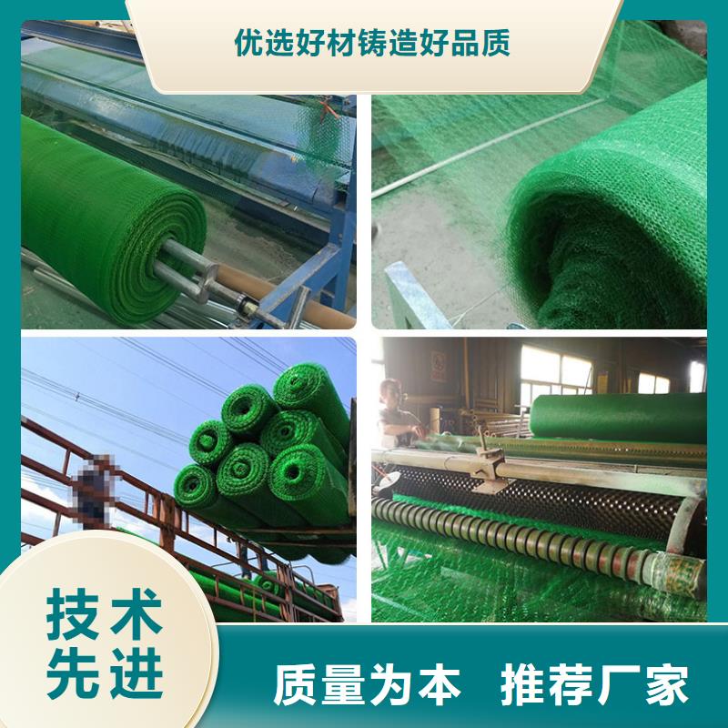 三维植被网三维土工网垫我们更专业当地货源
