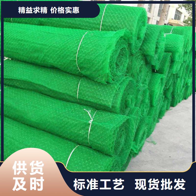 【三维植被网】双向土工格栅货源稳定当地厂家