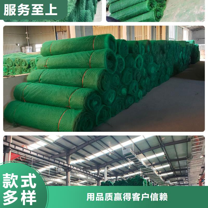 三维植被网凸结点钢塑土工格栅专业厂家供您所需