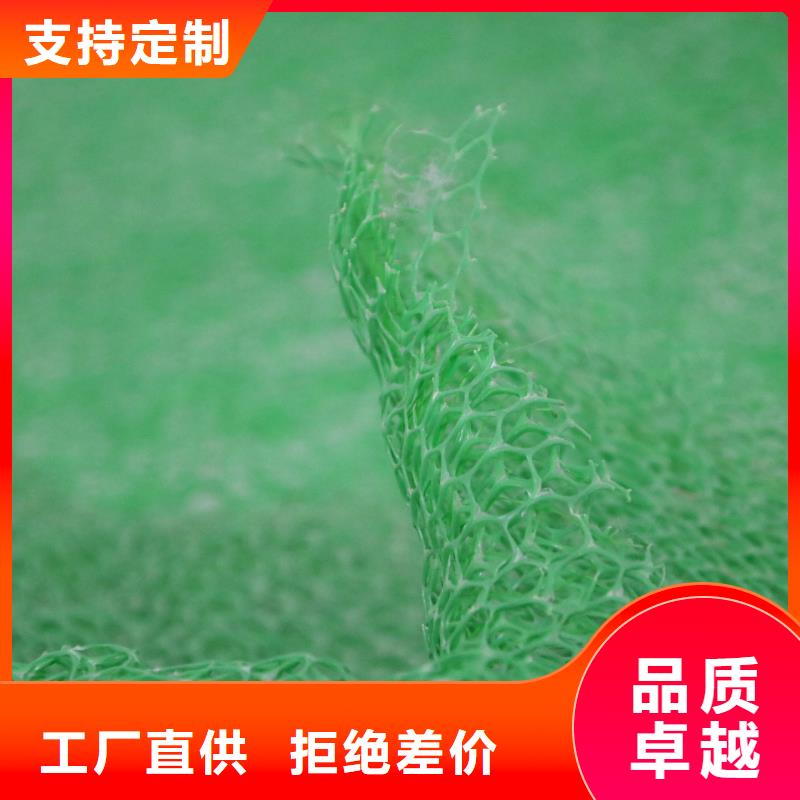 三维植被网土工布现货交易用心做产品