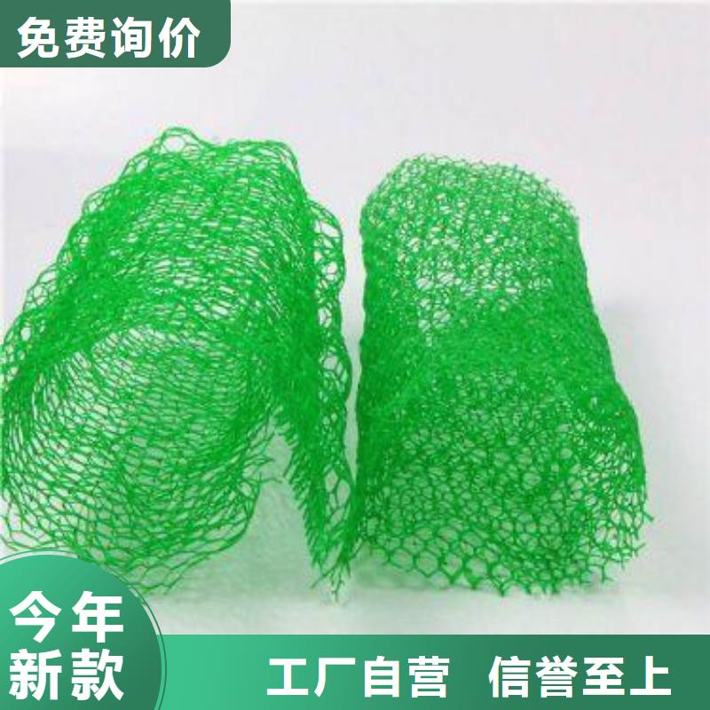 三维植被网防渗膜商家直供让利客户