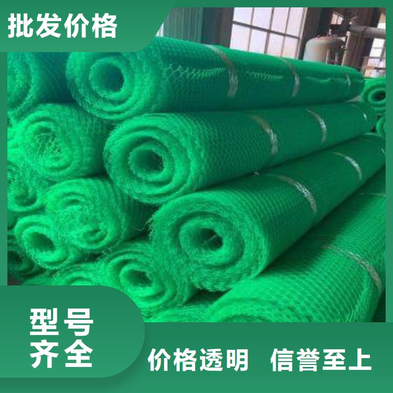 三维植被网防尘布质优价保专业的生产厂家