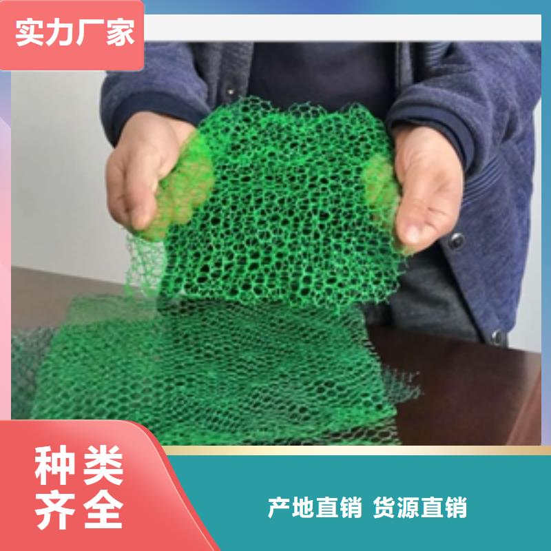 三维植被网_土工席垫定制定做实力厂家直销