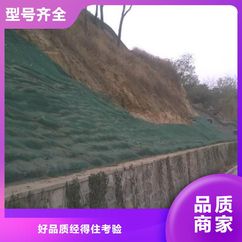 三维植被网防渗土工膜加工定制拥有核心技术优势