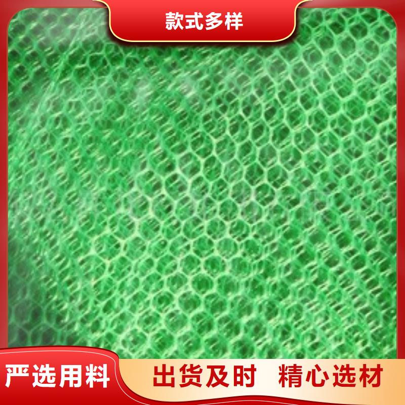 三维植被网防水土工布服务周到当地厂家