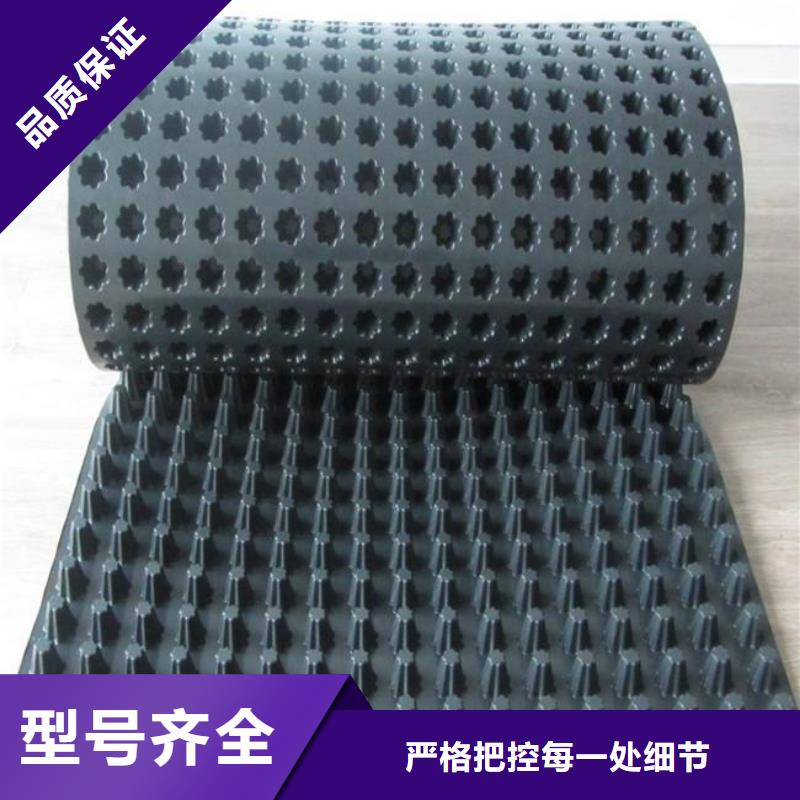 塑料排水板HDPE土工膜标准工艺设备齐全支持定制