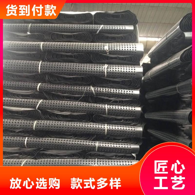 塑料排水板【凸结点钢塑土工格栅】值得信赖厂家新品