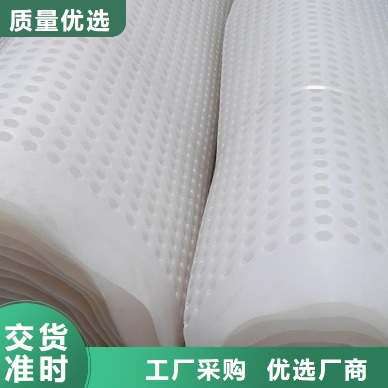 塑料排水板复合土工膜专业生产设备当地货源
