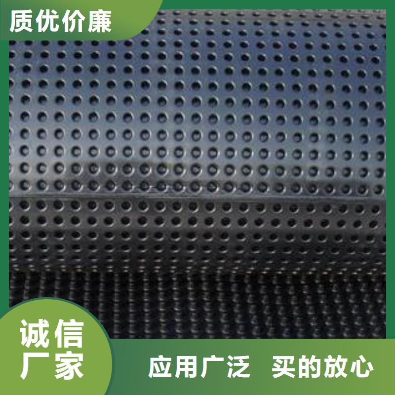 塑料排水板,垃圾填埋场材料货到付款有实力有经验