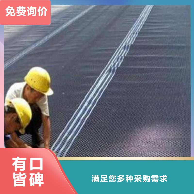 【塑料排水板双向土工格栅诚信可靠】工厂直供