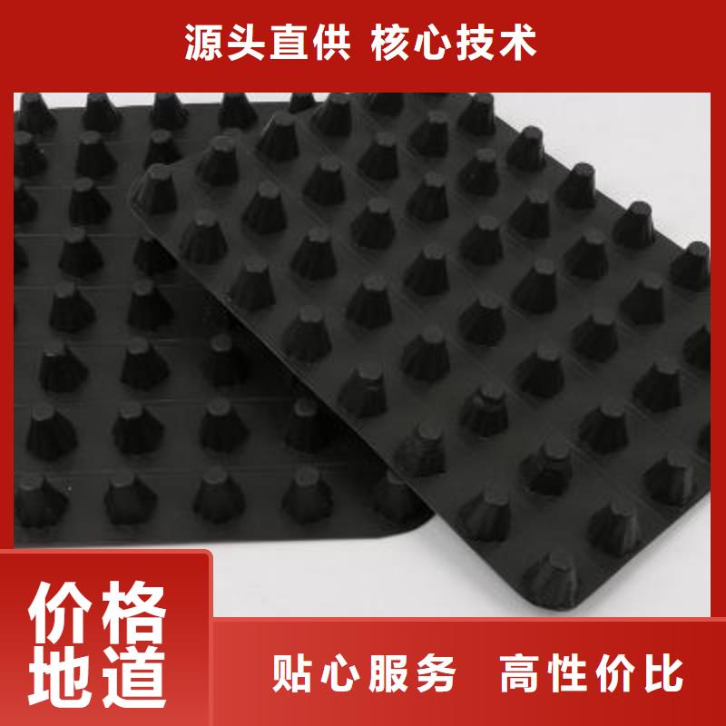 塑料排水板涤纶土工格栅售后无忧品质之选