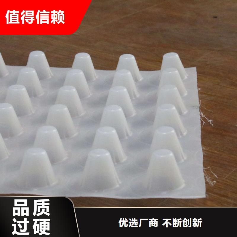 塑料排水板土工格栅质量优价格低同城生产厂家
