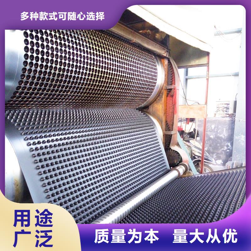 塑料排水板单向塑料土工格栅产地批发同城货源