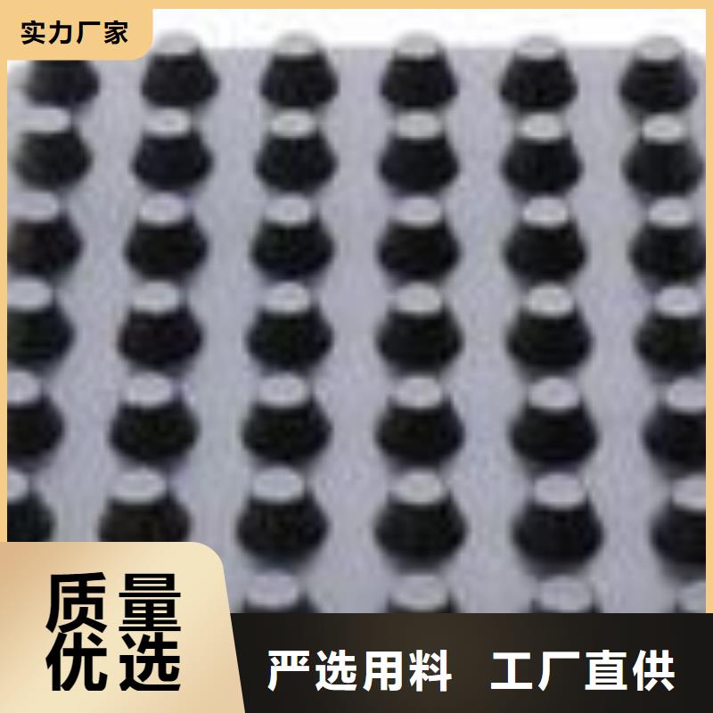 塑料排水板塑料土工格栅源厂直销品类齐全