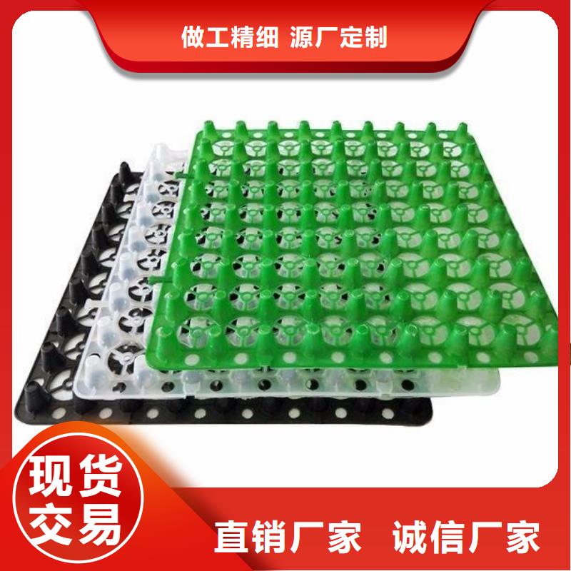 塑料排水板塑料土工格栅敢与同行比质量实体诚信经营