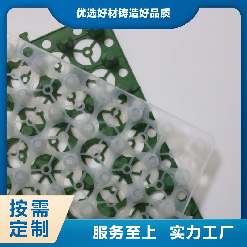 【塑料排水板】玻纤土工格栅产品细节货真价实