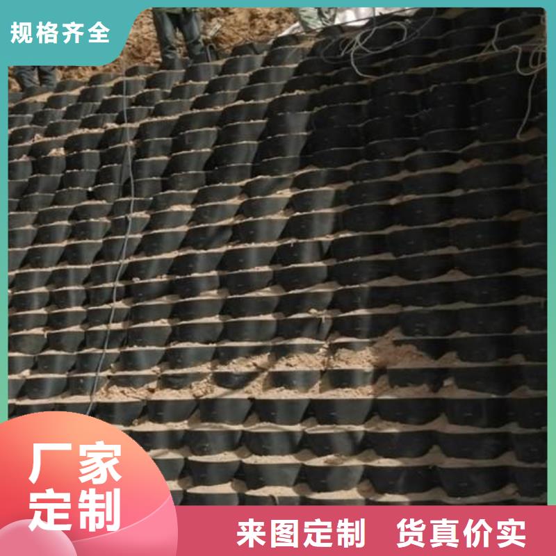土工格室_【透水土工布】品质不将就本地生产厂家
