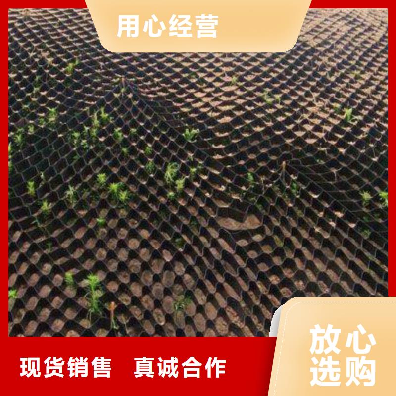 【土工格室,土工席垫好产品有口碑】定制销售售后为一体