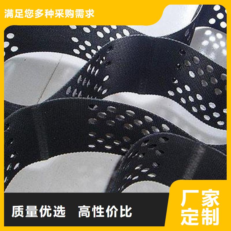 土工格室单向塑料土工格栅优选原材专业设计
