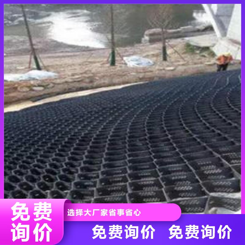 土工格室凸结点钢塑土工格栅品质服务诚信为本匠心制造