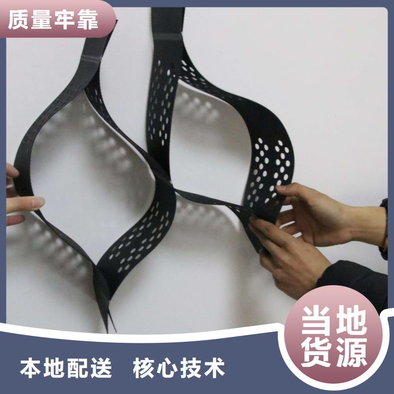 土工格室三维土工网垫应用范围广泛当地生产商