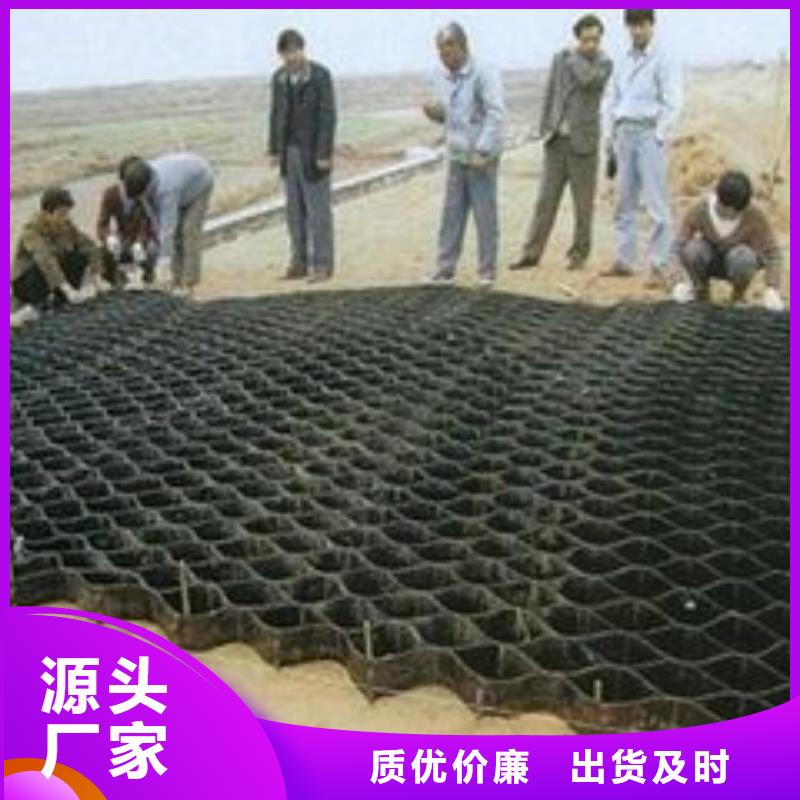 土工格室土工HDPE膜一件也发货同城厂家