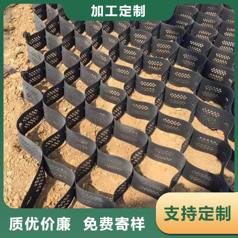 土工格室塑料土工格栅我们更专业支持批发零售