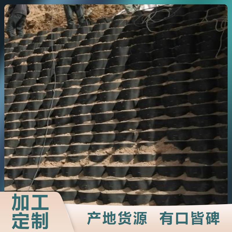 土工格室-三维土工网垫品质无所畏惧本地经销商