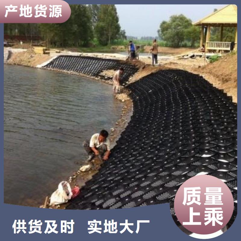土工格室防水土工布实力雄厚品质保障讲信誉保质量