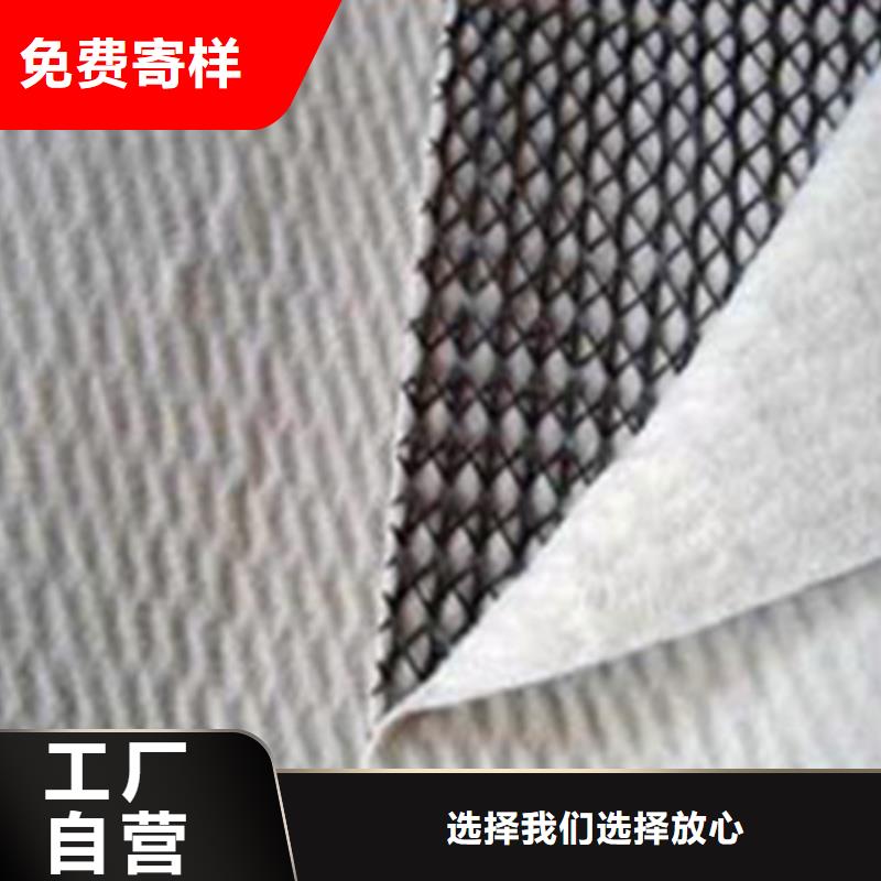 【三维复合排水网】凸结点钢塑土工格栅安装简单有口皆碑